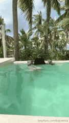 OnlyFans华人博主精选合集_巨乳肥臀与醒目纹身魅力展示