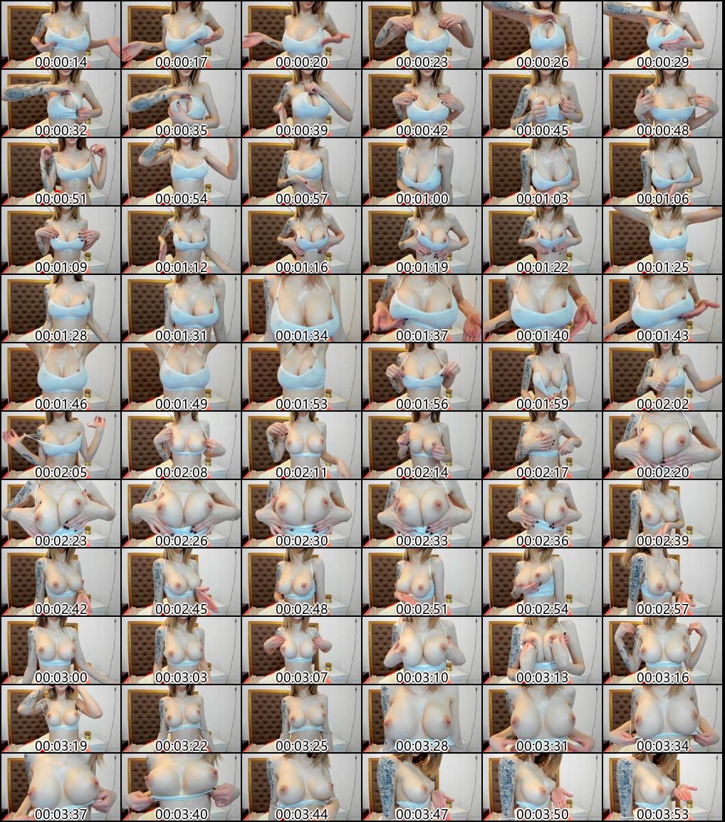 欧美OnlyFans与CB站巨乳主播精选合集16部