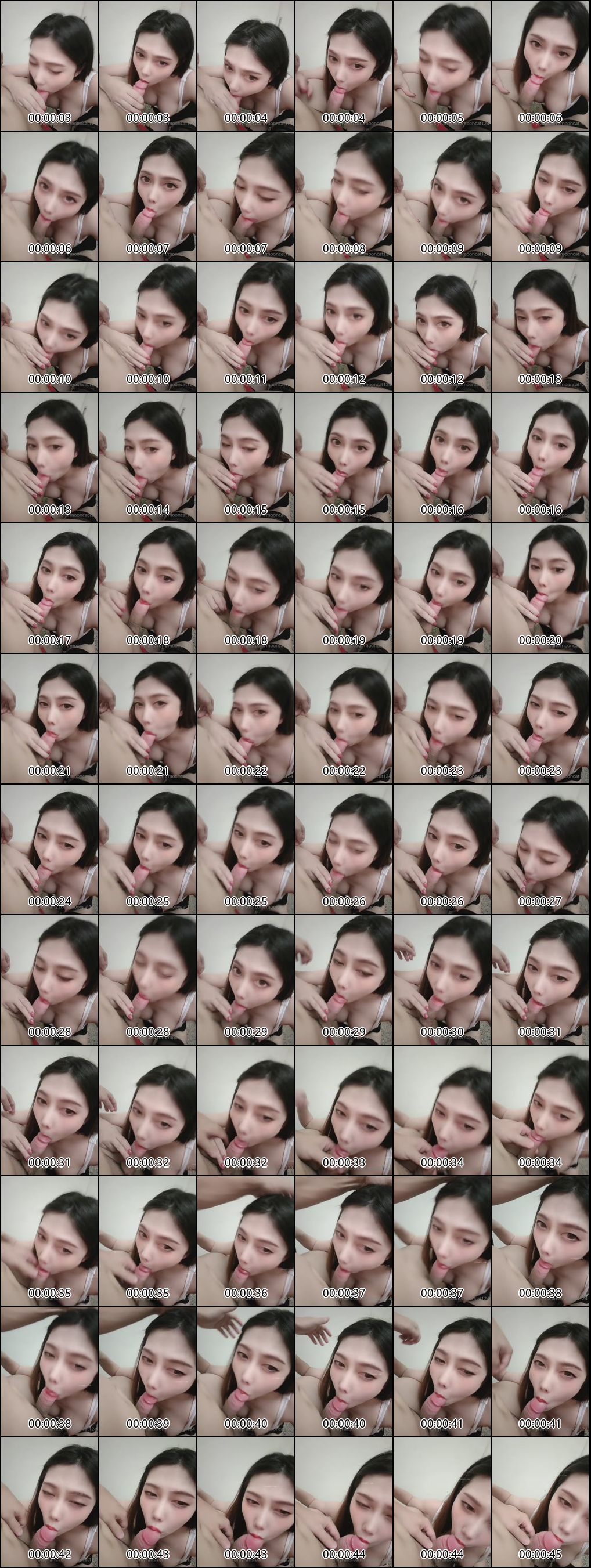 OnlyFans知名主播骚猫17精彩内容精选