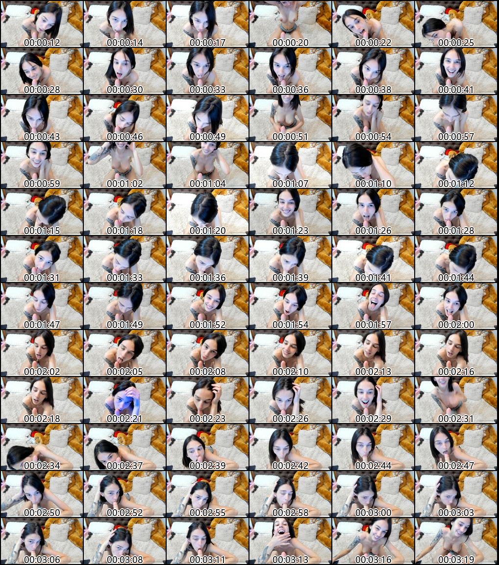 欧美OnlyFans与CB站巨乳主播精选合集17_1