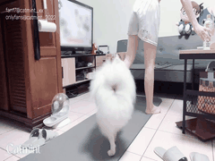 台湾贫乳嫩妹OnlyFans自慰合集_白浆横流极致诱惑