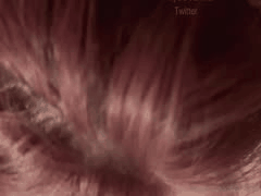 台湾OnlyFans超颜女神Kitty Kitty 2_60万粉丝极品尤物新增5V付费私拍