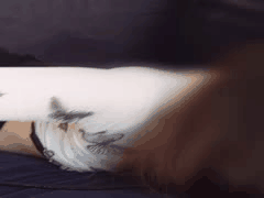 Myfans博主：刚成年素人少女露脸中出破坏性爱视频合集9