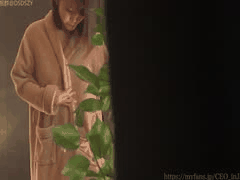 日本CEO Myfans绿帽3P私密系列第2部：25部作品精选