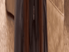 MyFansガチ堕ちCH街头素人猎艳合集：每期抓捕变肉便器，露脸群P高潮狂欢