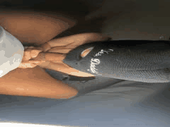 OnlyFans亚裔美女SluttyBrownie订阅合集第5-14集