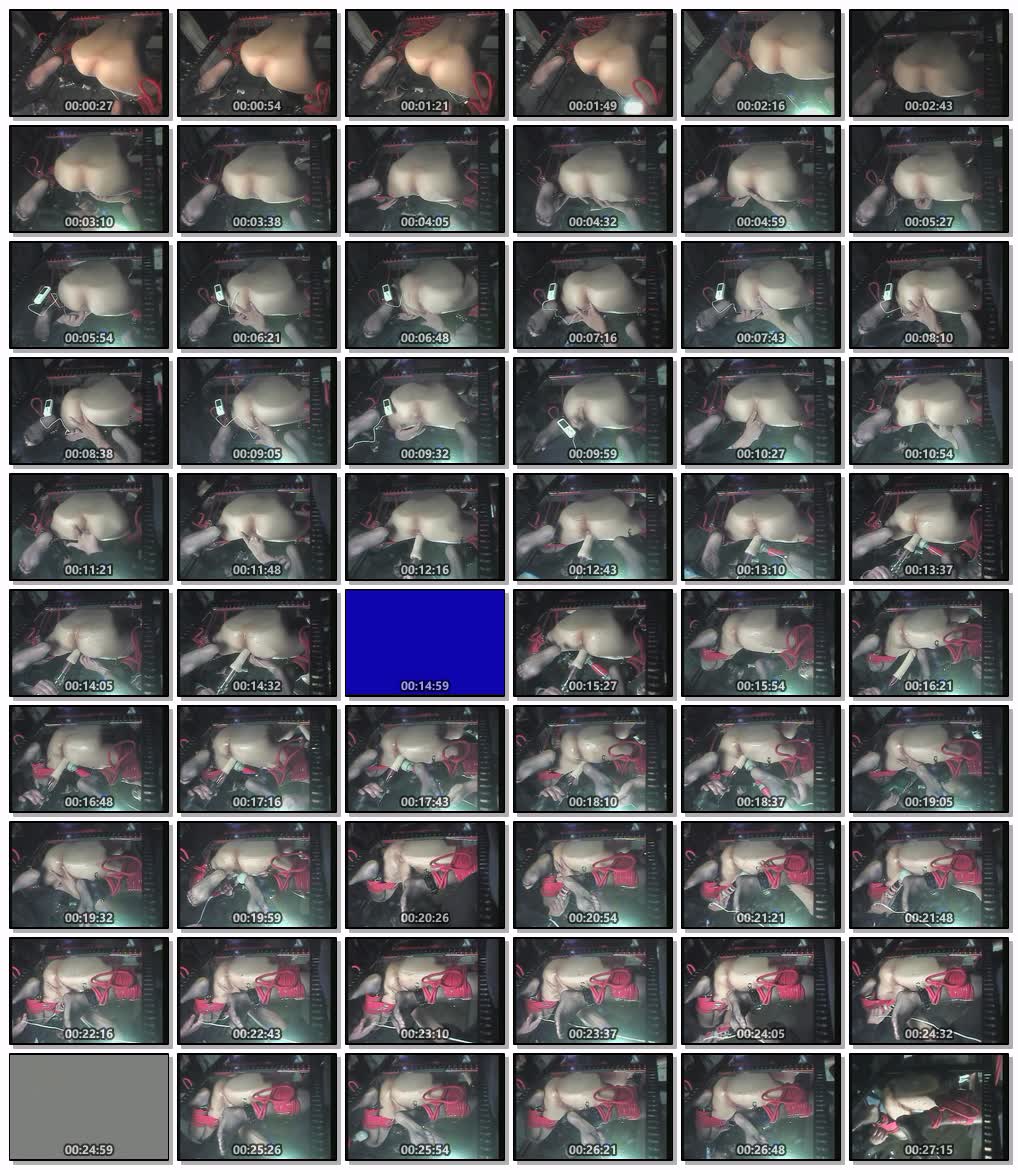 DDNG-002-流出女体拷問研究所Vol.2-cd4