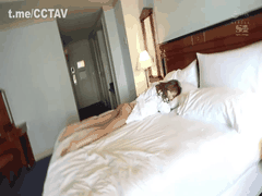 独家自拍_三上悠亞私人无套性爱全记录_与顶尖女优彻夜狂欢 SSIS