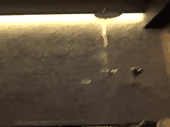 传奇偶像四年后强势回归！后篇首秀更显魅力不容错过