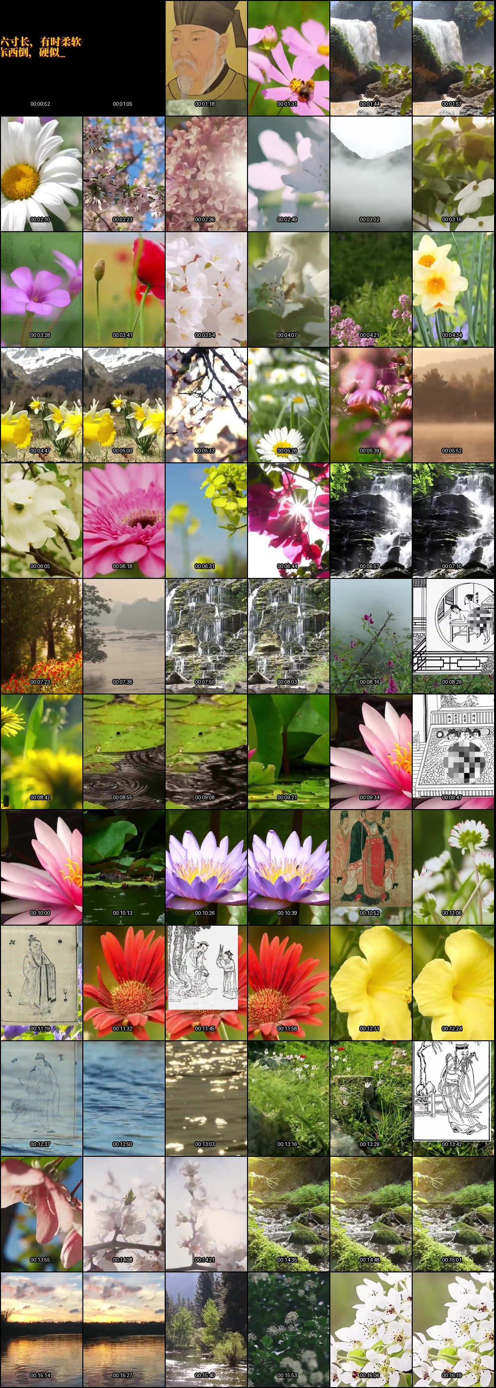 文婷深度揭秘_九浅一深技巧_金枪不倒秘籍_房中术全攻略