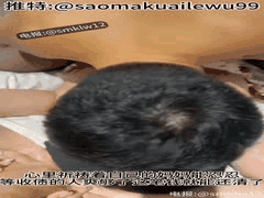 PMV鉴赏家_精选音乐视频合集