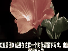 《玉蒲团》隐藏大秘密揭秘：你误解了李渔的奇思妙想！