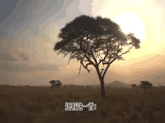 文婷带你探秘古人艳词俚曲：活色生香，原来这么开放！