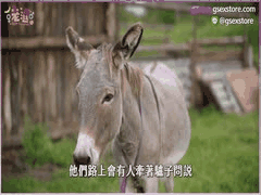 揭秘女性高潮真伪：如何从身体反应和主观感受判断真实高潮？