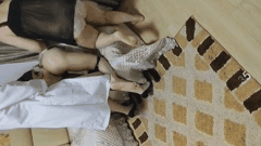 杭州魅色夫人SM调教狂欢捆绑足交牵狗玩言语羞辱让你欲罢不能