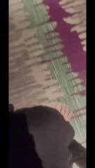 天蝎座胖虎调教合集2足交与丝足的魅力体验