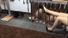 杭州魅色夫人调教狂欢言语羞辱捆绑足交牵狗玩弄欲仙欲死极致SM