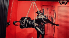 P站胶衣调教合集_多样道具与女主调教男伴的极致体验