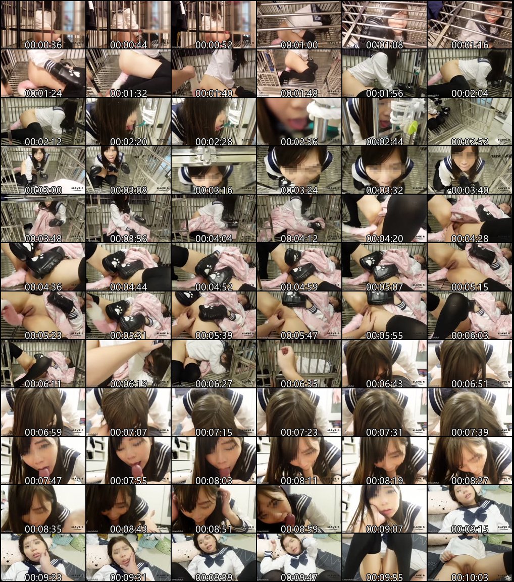 犬奴调教实录_肛塞与圈养的极致SM体验揭秘