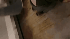 黑丝贵妇女王的极致虐恋调教揭秘