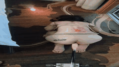 重庆DOM永夜狂野调教多位女奴3P4P极致淫乱高价VIP福利刺激升级