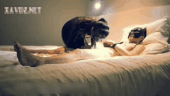 大陆熟女轻度SM情趣精选合集_揭秘卡戴珊风格艳史