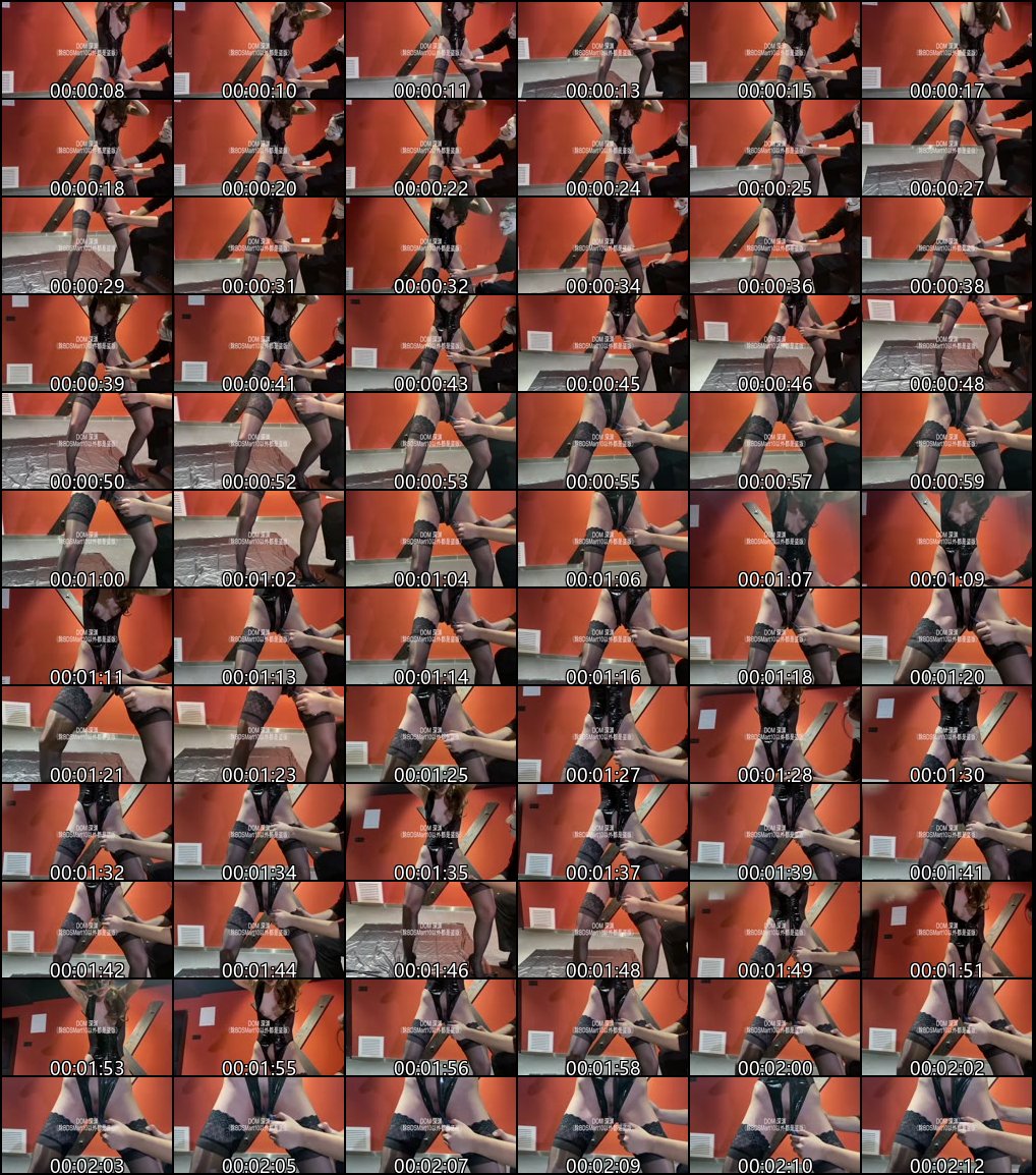 专业SM调教师驯服极品母狗高清调教过程刺激上瘾