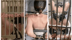 国内BDSM调教大神虐玩露脸美少妇_乳环阴环深喉肛交_狗笼电击滴蜡高潮喷射