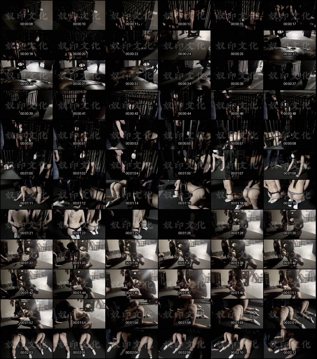 奴印文化调教盛宴_5位女奴艺术臣服之旅_推特精选合集让你心跳加速欲火焚身