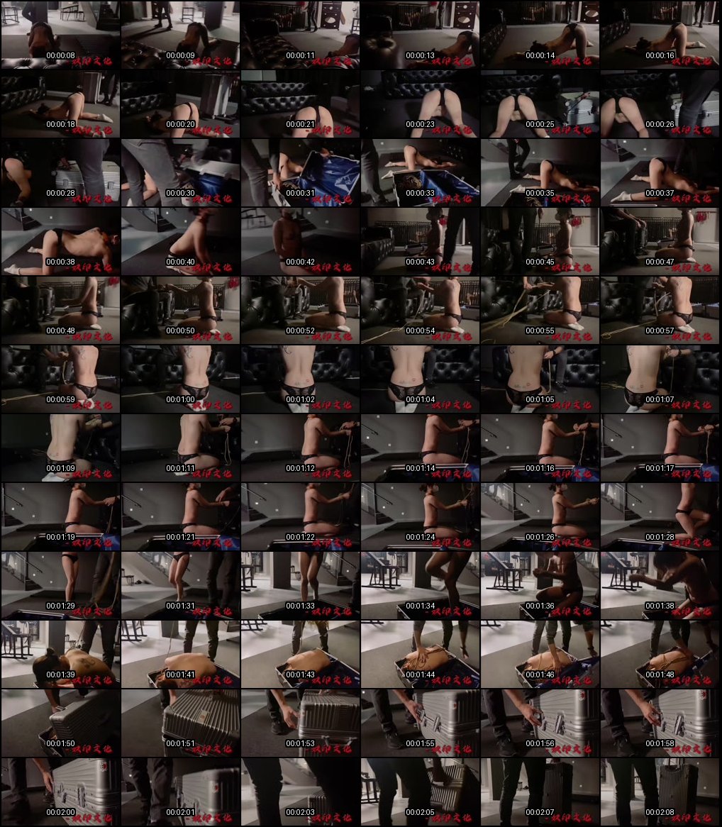 艺术奴印调教五美_沉浸式SM文化合集_欲火焚身的美奴征服之旅