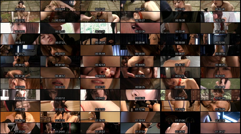 CMC-081 母狗奴隶极致调教精华_性奴母犬俱乐部狂野服从盛宴