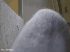 初九女王黑丝足踩SM调教合集_警花制服诱惑到三人潮吹狂野群交