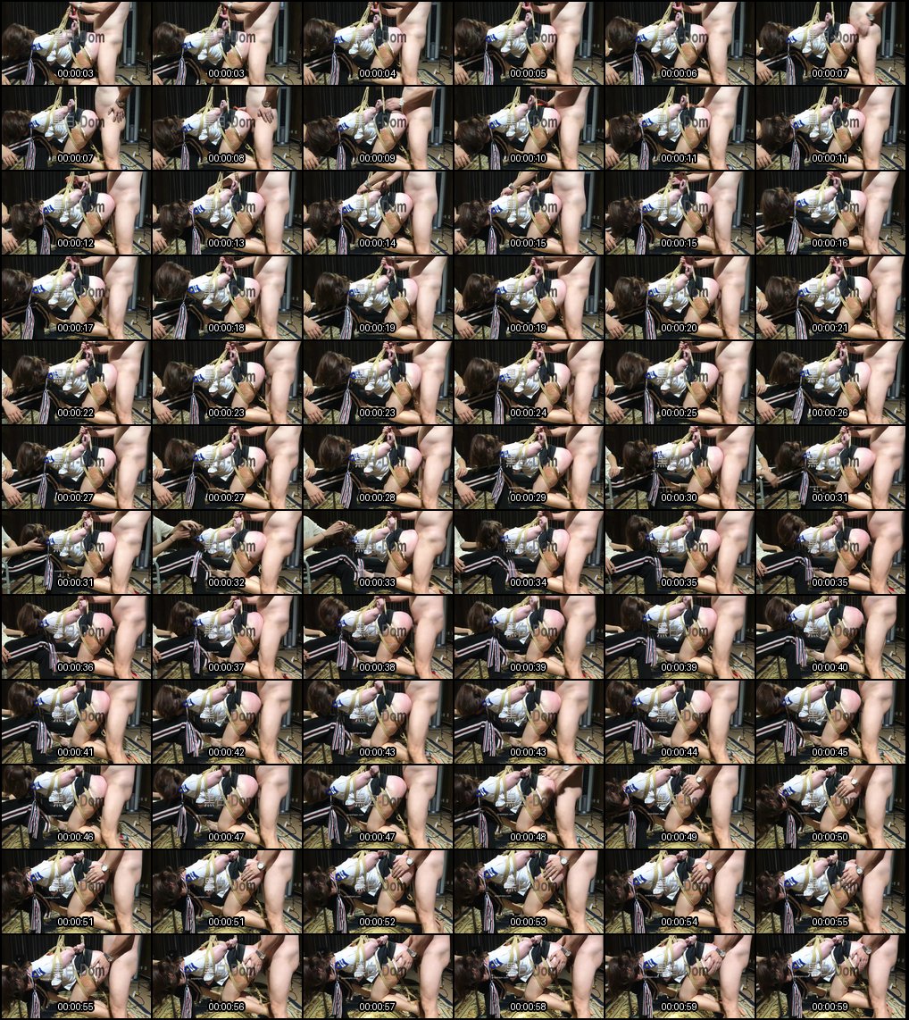 字母圈SM调教狂欢_网友分享动物园极致表情包_沉浸式重口味刺激体验