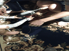 字母圈SM调教狂野动物园_网友精选表情包超刺激_玩转重口欲罢不能