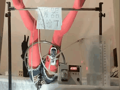 学生萝莉援交调教狂欢_电击灌肠露出潮吹群P高潮喷射