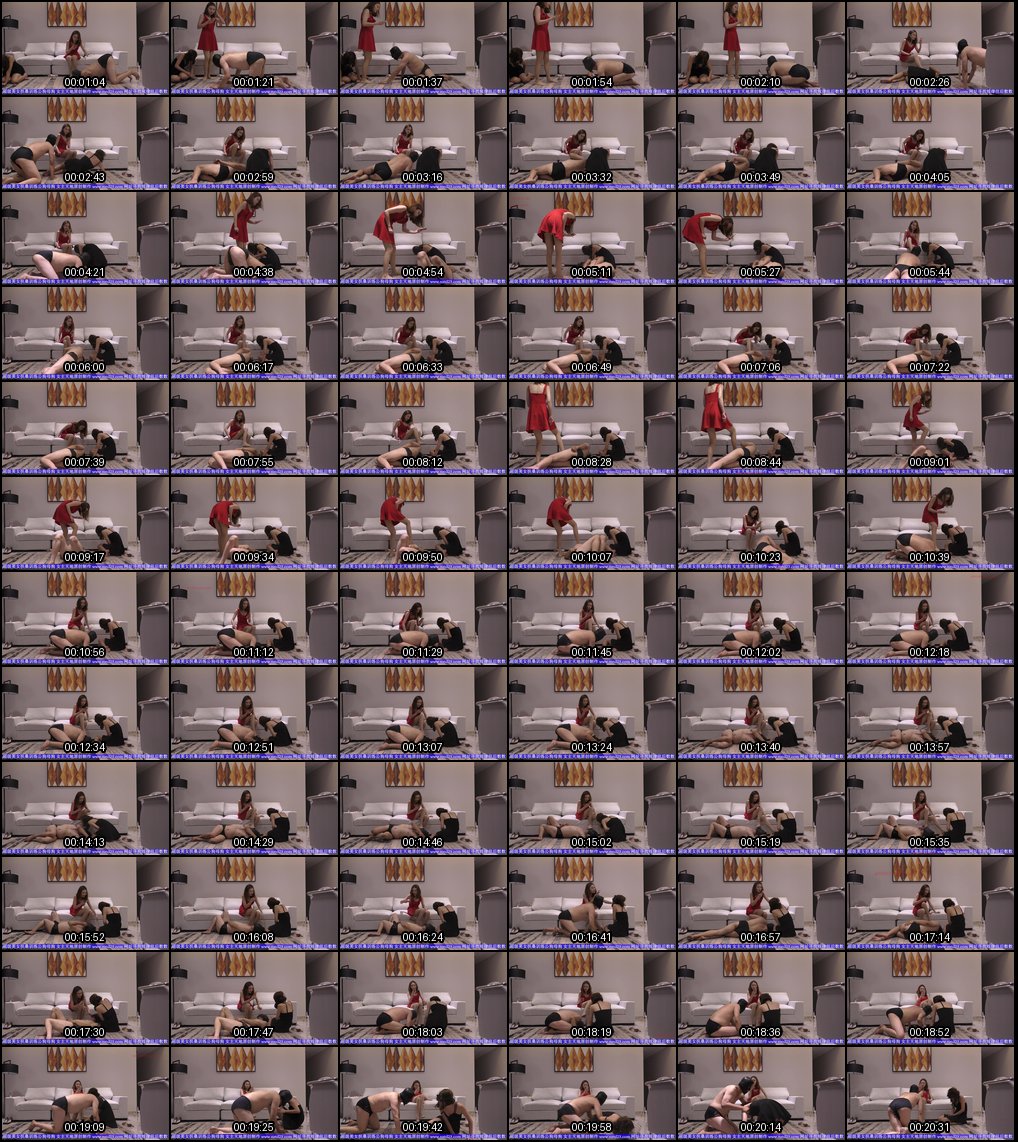 扶桑女神强势调教小刚夫妇_母畜跪地求饶的SM狂野之夜