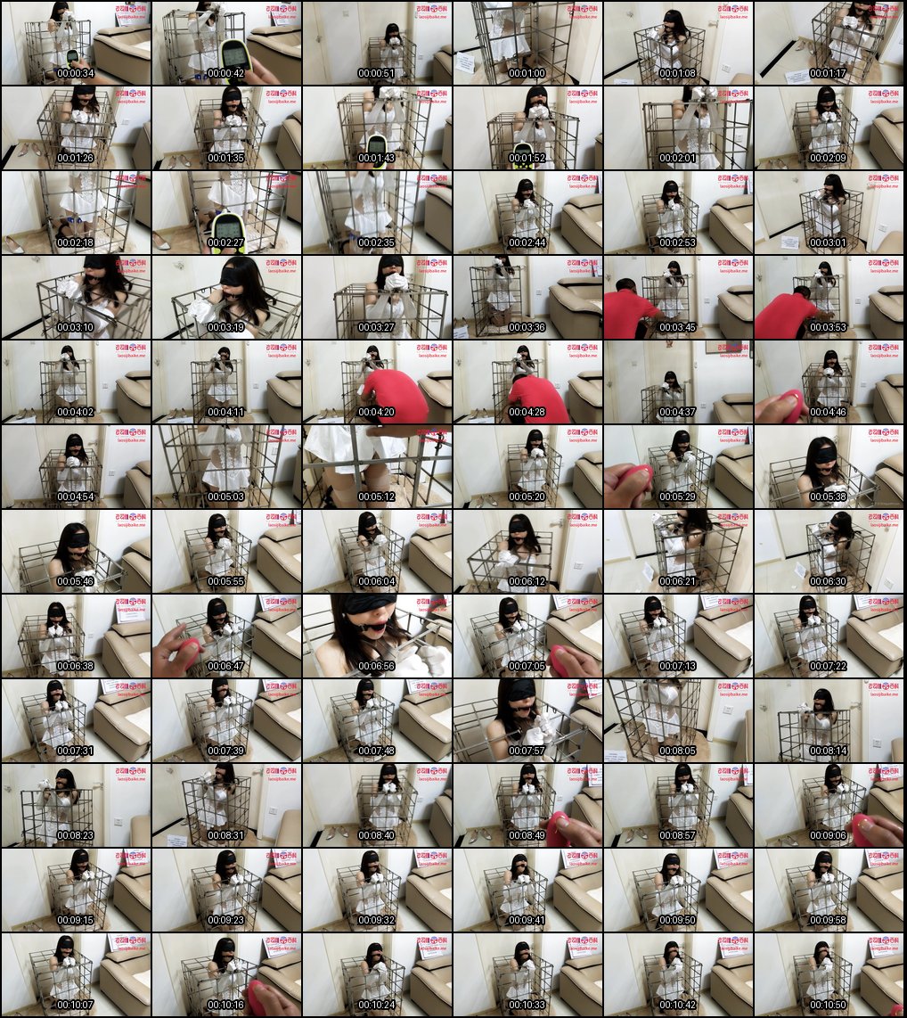 清纯小母狗被大神狠调教_SM情趣K9玩法太刺激_跪舔求饶欲仙欲死