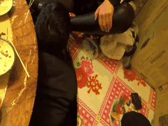 熟女莉莉娅与闺蜜饭馆狂虐男奴_舔鞋吞嚼物调教欲仙欲死