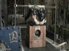 禅狱工作室驷马系列_母狗女奴禁锢手脚吊缚调教_飞燕钢管捆绑的极致SM沉浸体验