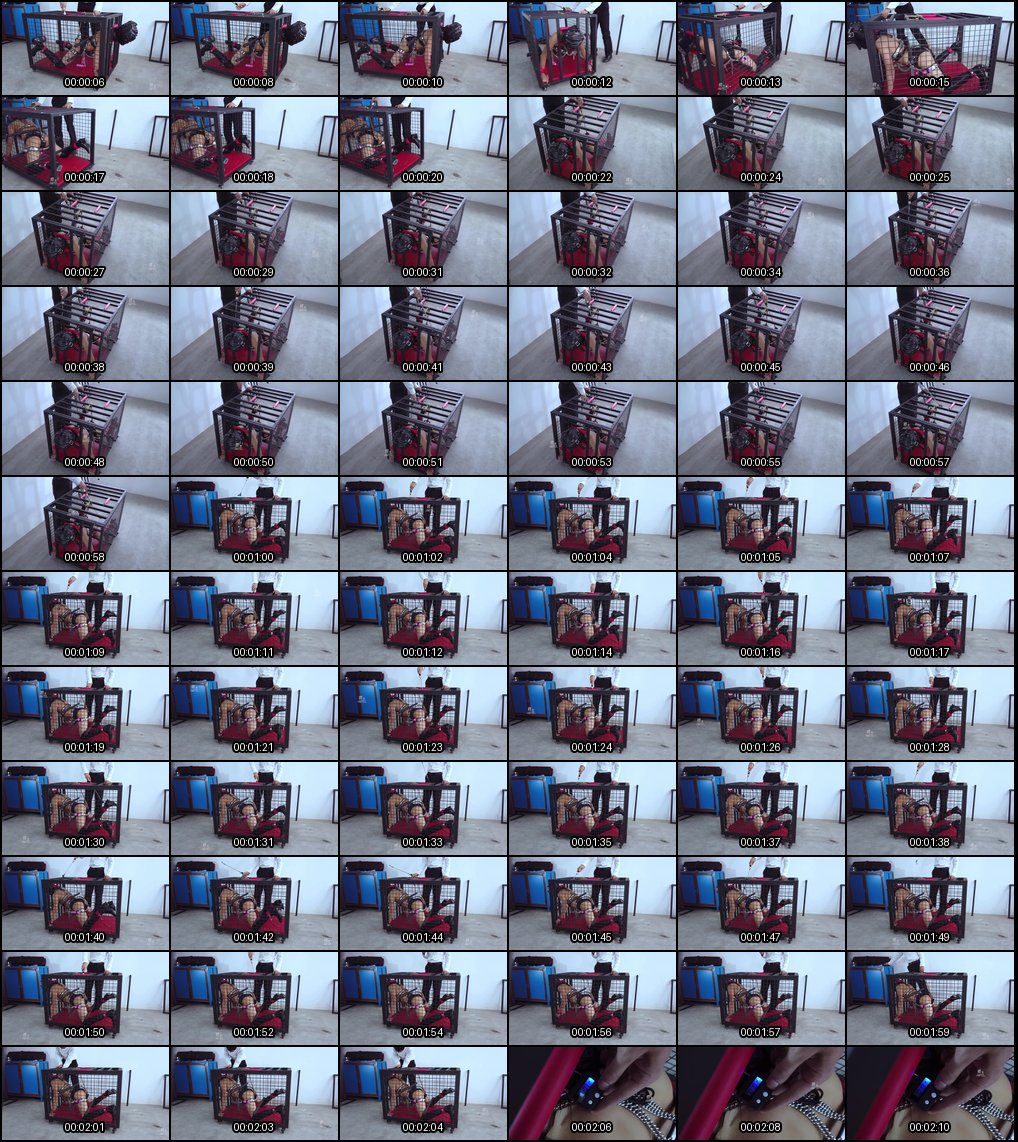 绳艺女王的极致调教_美女被捆绑束缚羞辱到颤抖求饶