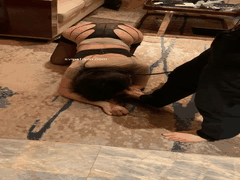 老ZZ联手顶流调教大神狂野合作_多名高手加盟第一章_表情包诱惑直击灵魂