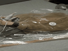 胶衣紧缚调教极致诱惑_闪闪工作室Breathless 022A 窒息快感狂野释放