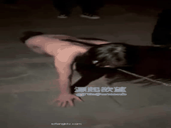 陈洁莹户外SM调教变身骚母狗_潮吹群交学生萝莉狂野高潮