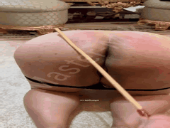 Master Mike大神1V6_重度SM调教性虐多P饲养大奶女奴视频合集88部