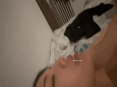 下药迷倒性感黑丝女友_各种物件尽情插入私处随意玩弄