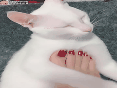 只做精品_诱人美足_足交恋足的极致诱惑