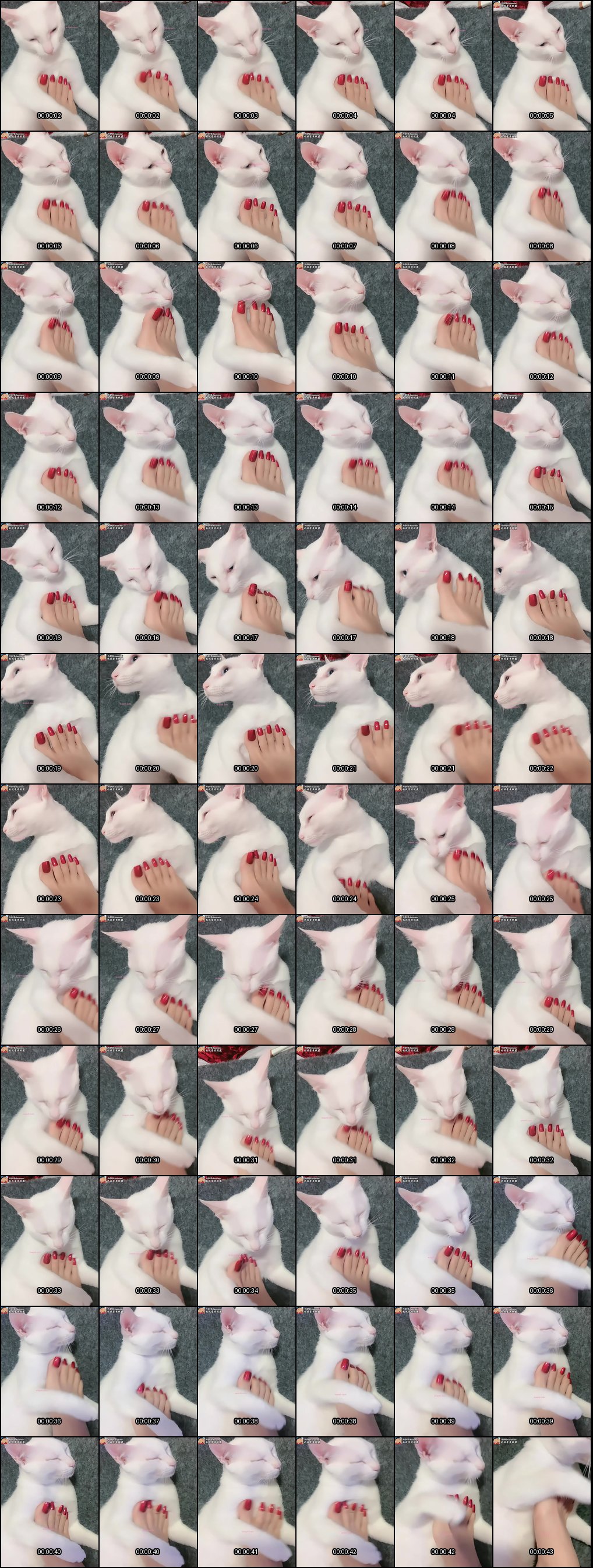 只做精品_诱人美足_足交恋足的极致诱惑