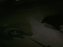 桃幼幼户外调教刺激遛狗_SM极致玩法曝光