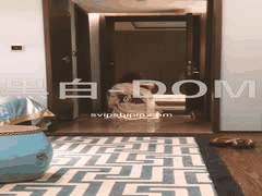 字母圈多人SM调教_巨乳骚母狗制服捆绑打屁股淫乱狂欢_13