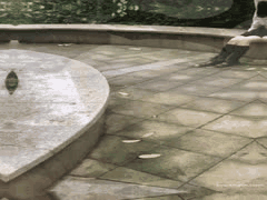 字母圈多人SM调教_黑白DOM老Zz巨乳骚母狗制服捆绑打屁股淫乱_1